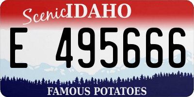 ID license plate E495666