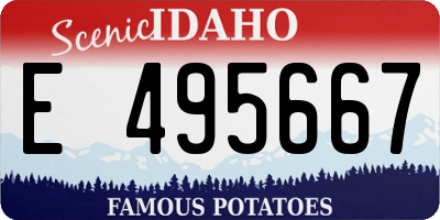 ID license plate E495667