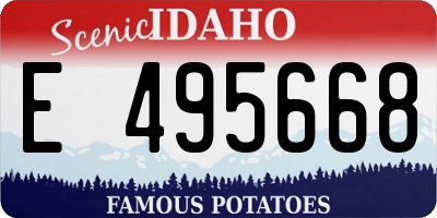 ID license plate E495668