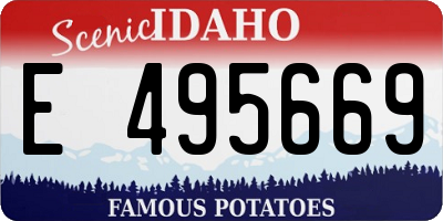 ID license plate E495669
