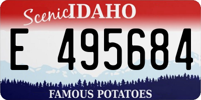 ID license plate E495684