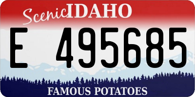 ID license plate E495685