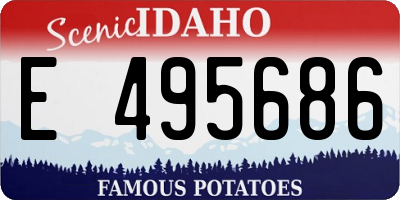 ID license plate E495686