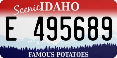 ID license plate E495689