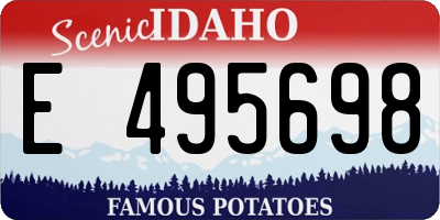 ID license plate E495698