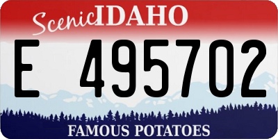 ID license plate E495702