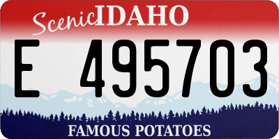 ID license plate E495703