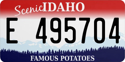 ID license plate E495704