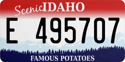 ID license plate E495707