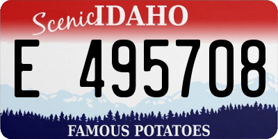 ID license plate E495708