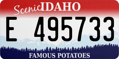 ID license plate E495733