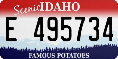 ID license plate E495734