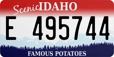 ID license plate E495744