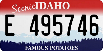 ID license plate E495746