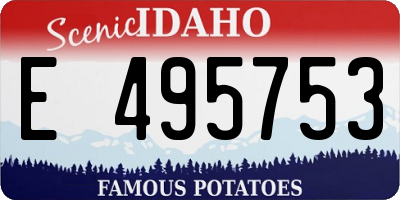 ID license plate E495753