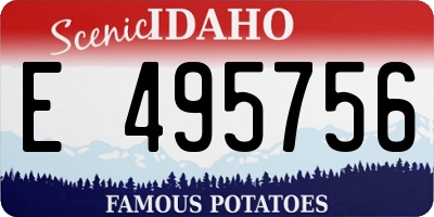 ID license plate E495756