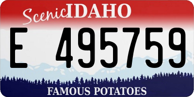 ID license plate E495759