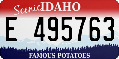 ID license plate E495763