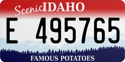 ID license plate E495765
