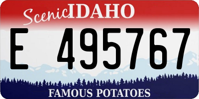 ID license plate E495767