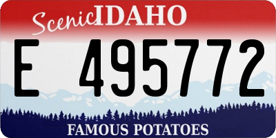 ID license plate E495772