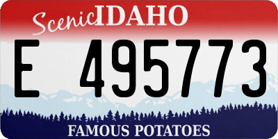 ID license plate E495773