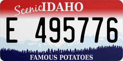 ID license plate E495776