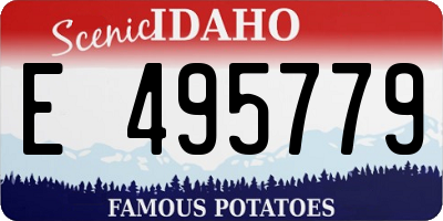 ID license plate E495779