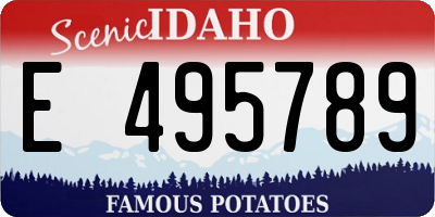 ID license plate E495789