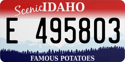 ID license plate E495803