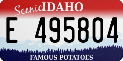 ID license plate E495804