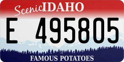 ID license plate E495805
