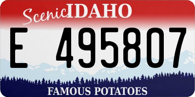 ID license plate E495807