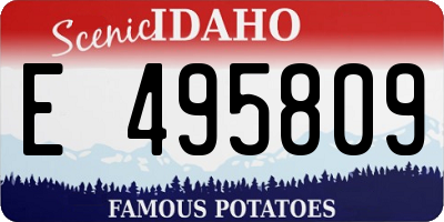 ID license plate E495809