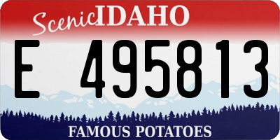 ID license plate E495813