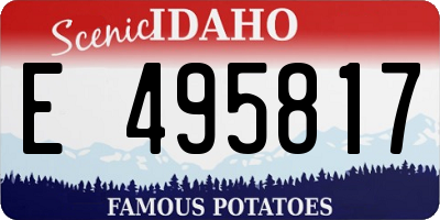 ID license plate E495817