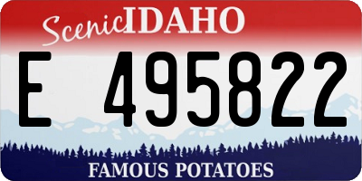 ID license plate E495822
