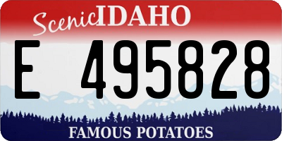 ID license plate E495828