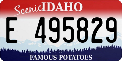 ID license plate E495829