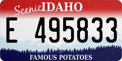 ID license plate E495833
