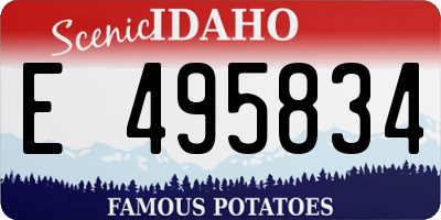 ID license plate E495834