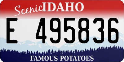 ID license plate E495836