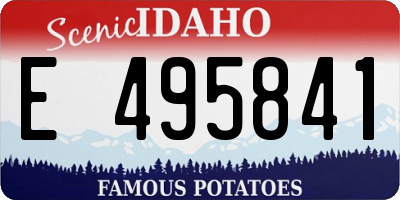 ID license plate E495841