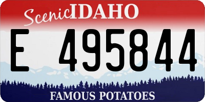 ID license plate E495844