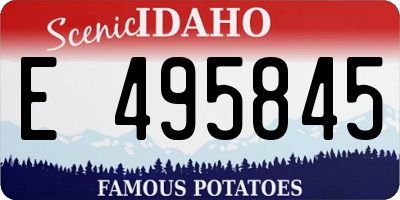 ID license plate E495845