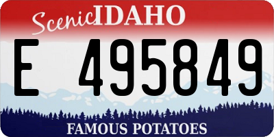ID license plate E495849
