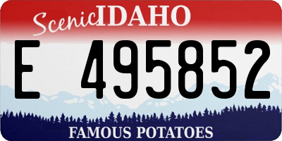 ID license plate E495852