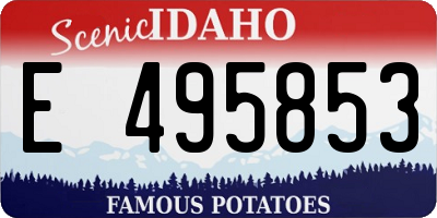 ID license plate E495853