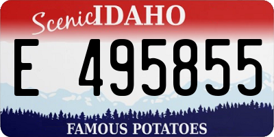 ID license plate E495855