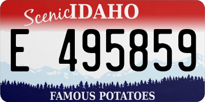 ID license plate E495859